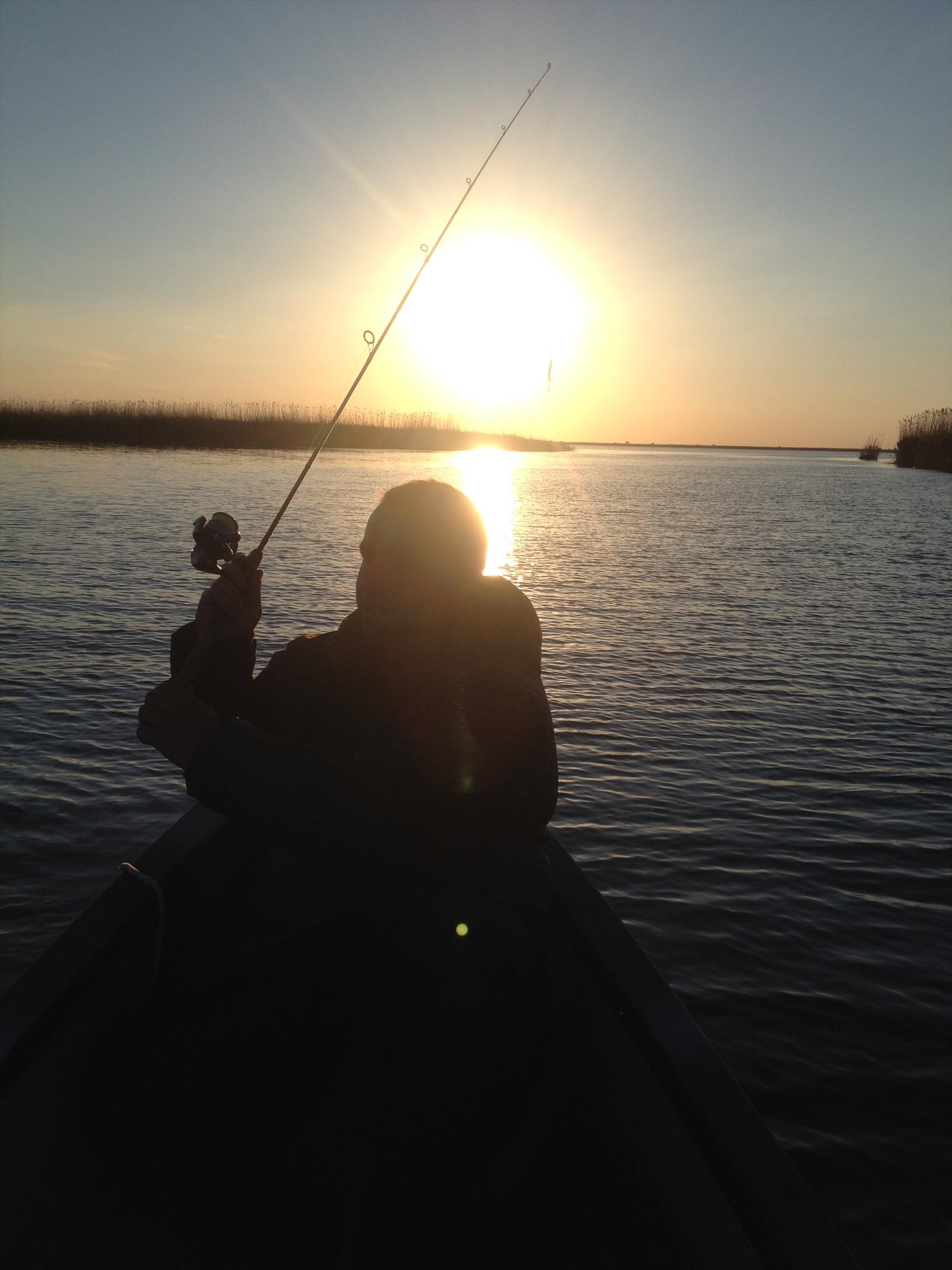 Delta Dunarii - img1151.JPG